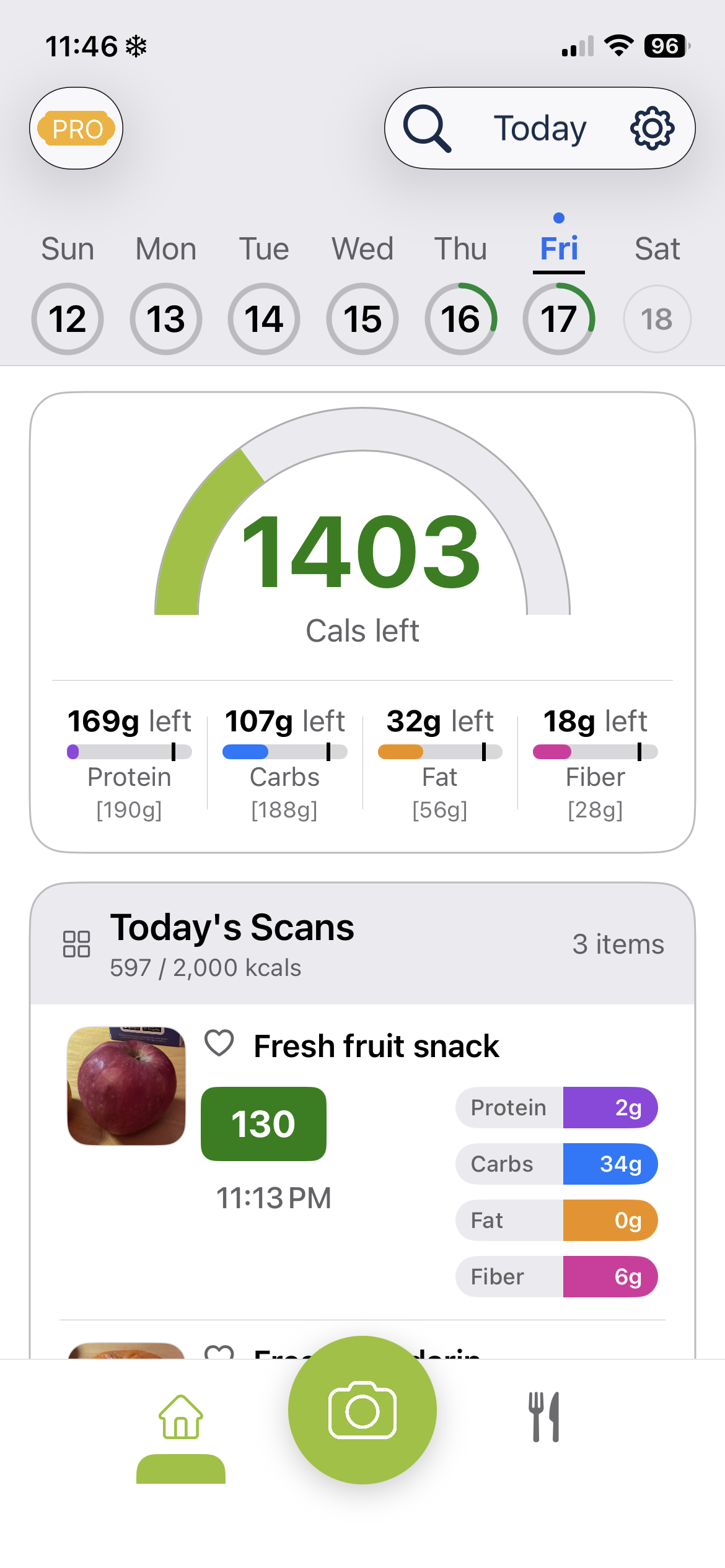 Bitix app dashboard screenshot showing daily food tracking